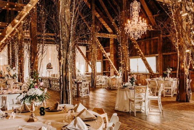 Convenient Party Rentals Near Me with Excellent Service