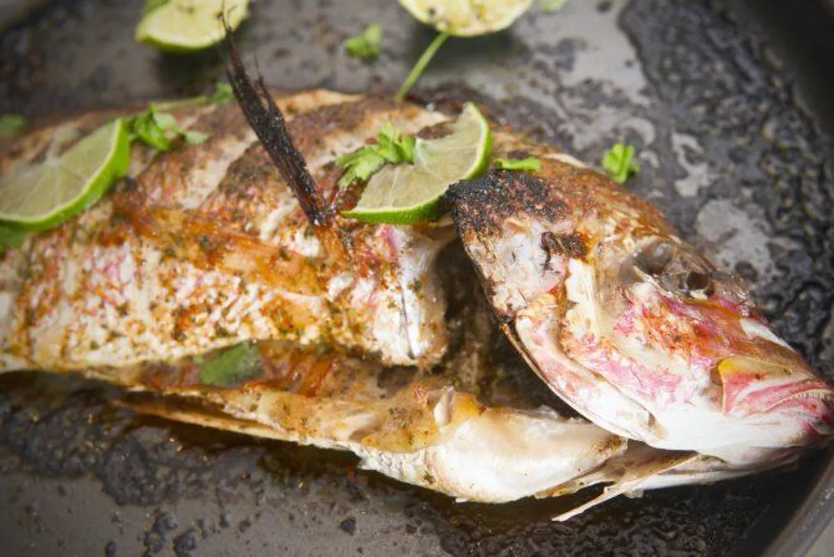 Best Fish Sourced Responsibly and Cooked Honestly