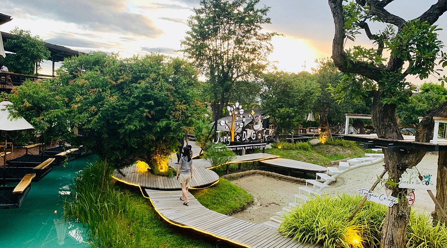 Explore the Trendiest Kratom Cafe Chiang Mai Has to Offer