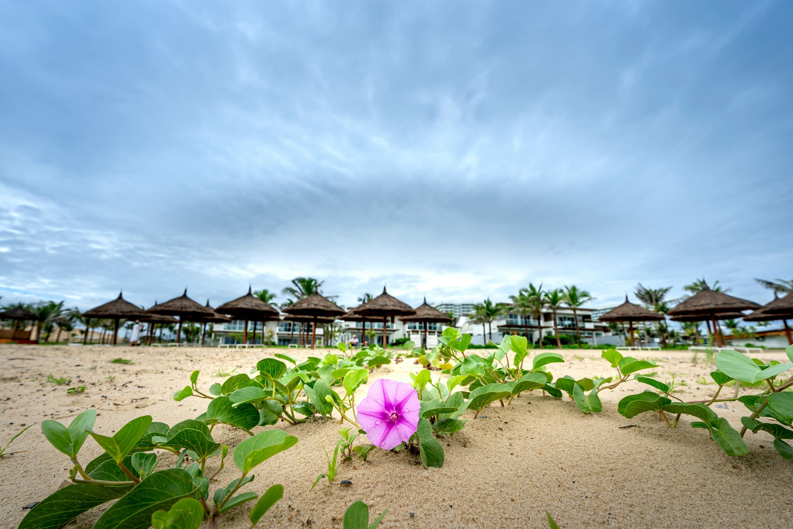 Coastal Cabana: Exclusive Executive Condo for Discerning Buyers